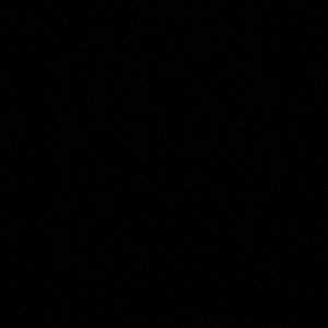 Meet your Posher, Addie